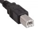 10ft USB 2.0 A Male to B Male Cable