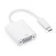 DVI / DVIe & VGA Adapters